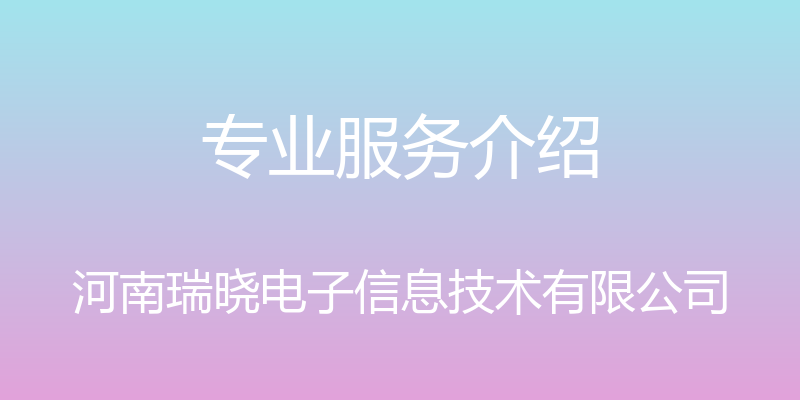 专业服务介绍 - 河南瑞晓电子信息技术有限公司