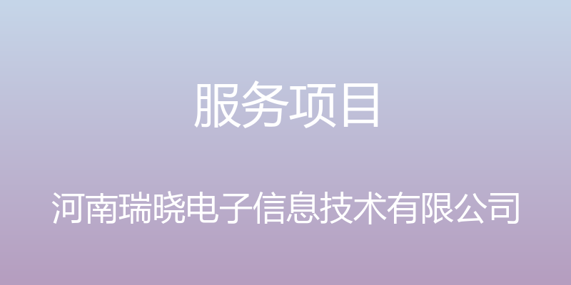 服务项目 - 河南瑞晓电子信息技术有限公司