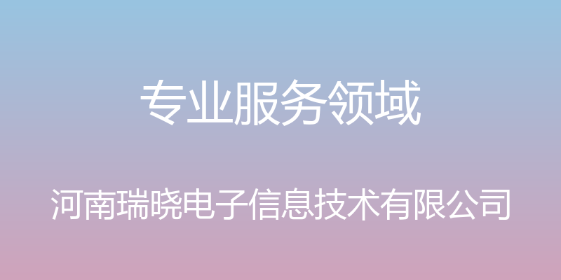 专业服务领域 - 河南瑞晓电子信息技术有限公司